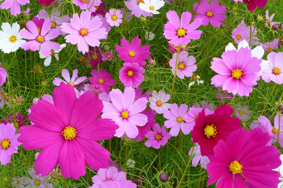 運命の美容師の見つけ方